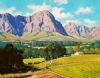 "Farm Landscape Banghoek Valley"