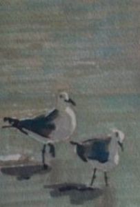 "Gulls"