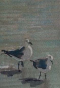 "Gulls"