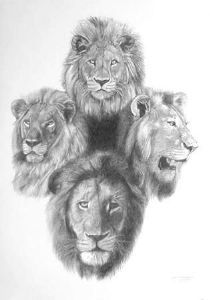 "Big 5"