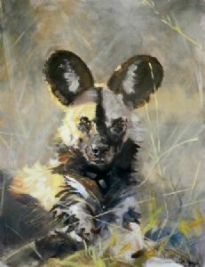 "Wild Dog Portrait"