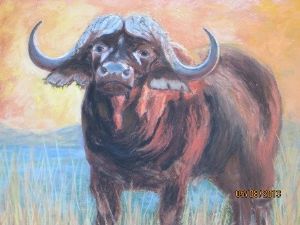 "Blazing Buffalo"