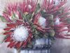 "Protea Barrel"