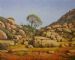Landscape Loeriesfontein Namaqualand