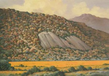"Ten Million Stones in Namaqualand"
