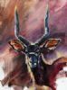 "Water Buck"