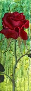 "Red Rose"