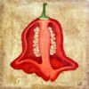 "Red Pepper 2"