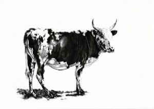 "Nguni 3"