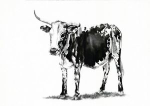 "Nguni 5"