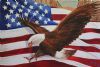 "USA Proud"