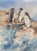 "Rockhopper Penguins"
