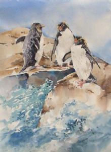 "Rockhopper Penguins"