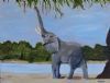 "Baby Elephant"