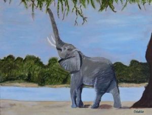 "Baby Elephant"