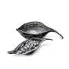 "Seed Pod 5"