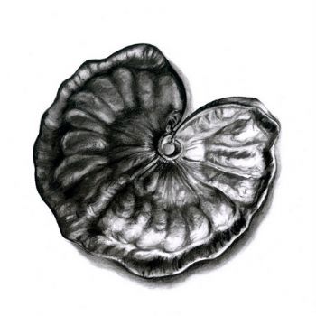 "Seed Pod 9"
