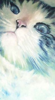 "Tom"