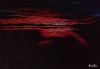 "Into the Night"