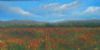 "Poppy Fields"