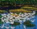 Spoonbill's Party