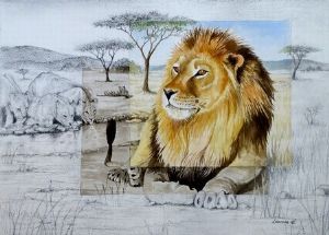 "Big Five - Lion"