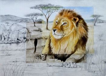 "Big Five - Lion"