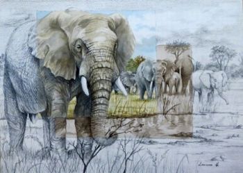 "Big Five - Elephants "