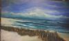 "De Hoop Nature Reserve"