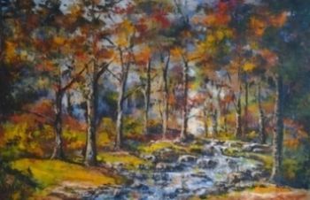 "Jonkershoek Water Stream"