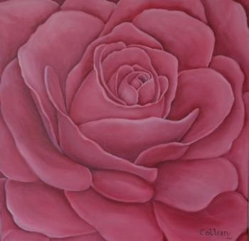 "Pink Rose"
