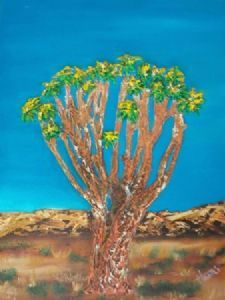 "Kokerboom"