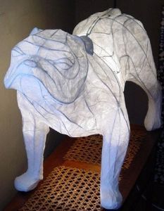 "Bulldog - Front View "