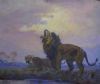 "Lions"
