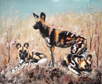 "Wild Dogs"