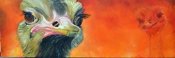 "Ostrich "