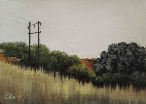 "Bokfontein"