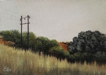 "Bokfontein"