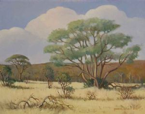 "Lowveld Scene with Bushwillow"