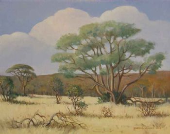 "Lowveld Scene with Bushwillow"