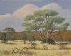 "Lowveld Scene with Bushwillow"