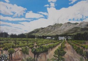 "Vineyard"