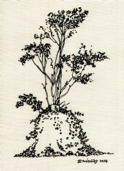 "Our Tree 2"