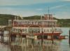 "Paddle Cruiser"