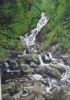 "Torc Waterfall, Ireland"
