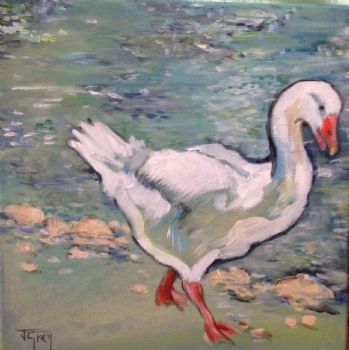"Welgevonden Duck 2"
