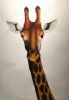 "Giraffe Portrait"
