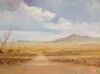 "Desolate Karoo"