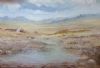 "Wet Karoo"
