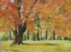 "Autumn Peace"